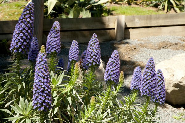 Louer une Villa Écoresponsable : Guide Pratique pour un Séjour Vert et Durable